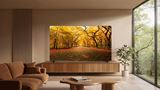 TCL C8L: nov� pr�miov� SQD-Mini LED telev�zor pri�iel aj ku n�m